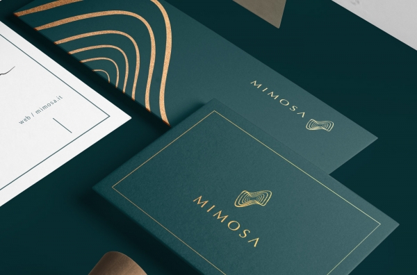 Brand Identity Thin Line Example